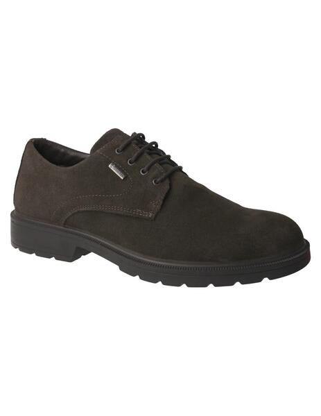 Zapato Gore Tex hombre Igi Co marron